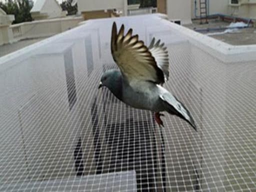 pigeon net for balcony